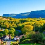 implement local SEO strategies for Sussex businesses