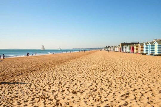 things to do in brighton